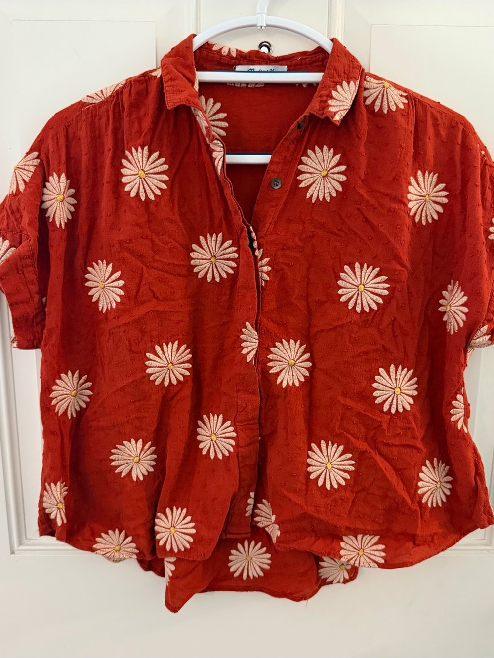 Madewell Daisy Daydream Blouse S | Rust Embroidered Button Down